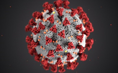 Living Your Life in the Time of Corona Virus/ La Vida Durante la Pandemia del Coronavirus (COVID-19)