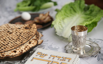 Solo Seder: A OneTable Guide